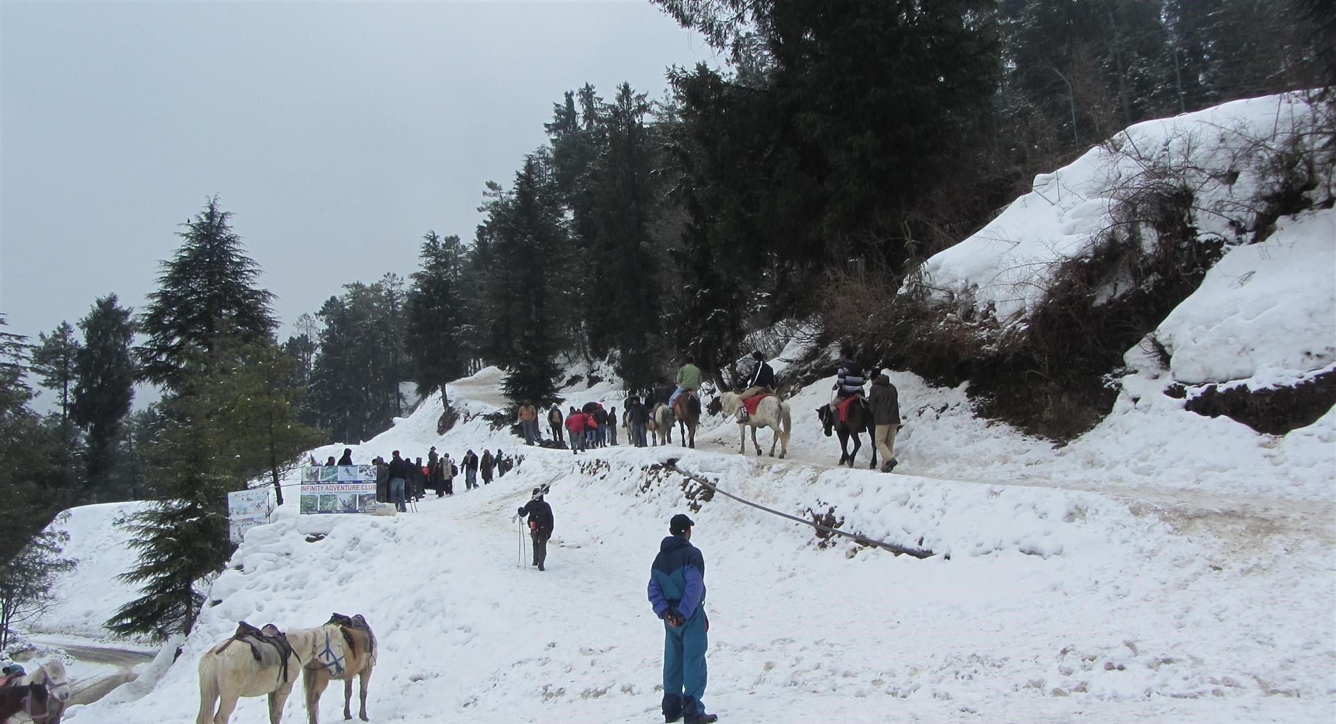 Shimla Manali Hill Tour
